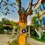 Горящие туры в отель Kayezta Hotel - 4