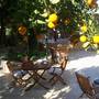 Горящие туры в отель Deja Vu Boutique Hotel - 3