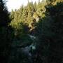 Горящие туры в отель Forest Lodge - 3