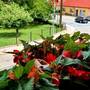 Горящие туры в отель Hostel Sonce - 4