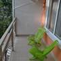 Горящие туры в отель Daiv Hotel - 6