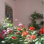 Горящие туры в отель Dili Villa - 1