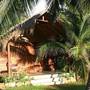 Горящие туры в отель Palagama Beach - 2