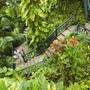 Горящие туры в отель Couples Sans Souci - 3