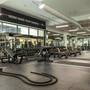 Горящие туры в отель The Creekside Hotel Dubai, an Accor Hotel - 3