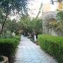 Горящие туры в отель Kavros Garden Hotel - 6