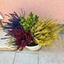Горящие туры в отель Apartment Sibenik - 3