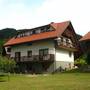 Горящие туры в отель Apartments Zupancic - 1