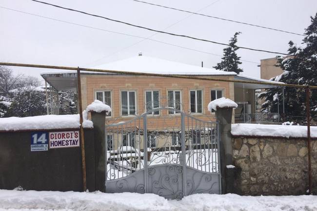 Гиорги Хомстей