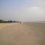 Горящие туры в отель Lotus Benaulim - Beach Apartment - 1