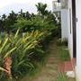 Горящие туры в отель Green Areca villa - 6