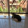 Горящие туры в отель Dobry Kit Guest House - 4