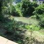 Горящие туры в отель Dobry Kit Guest House - 1