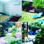 Горящие туры в отель Letniye Domiki Vacation Home - 5