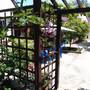Горящие туры в отель Letniye Domiki Vacation Home - 2