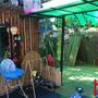 Горящие туры в отель Prostor Guest House - 4