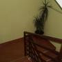 Горящие туры в отель Guest House Almira - 4