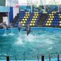 Горящие туры в отель Guest House Assol - 6