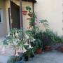 Горящие туры в отель Villa Gardenia - 4