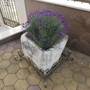 Горящие туры в отель Apartments Ivona 2 - 6