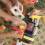 Горящие туры в отель Hurghada Suites & Apartments Serviced by Marriott - 3