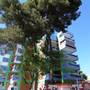 Горящие туры в отель Click & Booking Apartamentos Sama - 1