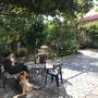 Горящие туры в отель Bajo Guest House - 4