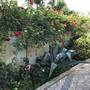 Горящие туры в отель Bajo Guest House - 2