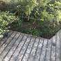 Горящие туры в отель Bajo Guest House - 5