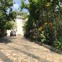 Горящие туры в отель Bajo Guest House - 1