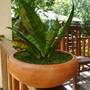 Горящие туры в отель Sisira Natural Lodge - 2