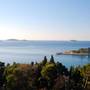 Горящие туры в отель Villa Mediterranea - 6