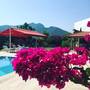 Горящие туры в отель Yaprak Hotel - 4