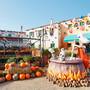 Горящие туры в отель PortAventura® Hotel El Paso - Includes Theme Park Tickets - 6