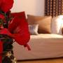 Горящие туры в отель Le Palace Art Hotel - 5