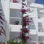 Горящие туры в отель Marathon Beach Resort - 5