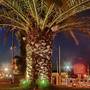 Горящие туры в отель Marathon Beach Resort - 2