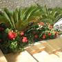 Горящие туры в отель Scala Hotel Apartments - 1
