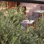 Горящие туры в отель Sentido Vasia Resort & Spa - 3