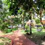 Горящие туры в отель Malibu Resort - 4