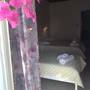 Горящие туры в отель Anemos Studios & Apartments - 5