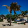 Горящие туры в отель Mangrove Bay Resort - 6