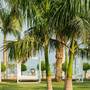 Горящие туры в отель Daniel Hotel Dead Sea - 4