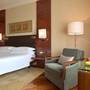 Горящие туры в отель Hyatt Regency Delhi - 6