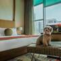 Горящие туры в отель Vivanta By Taj - 1