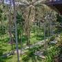 Горящие туры в отель Sheraton Senggigi Beach Resort - 2