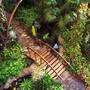 Горящие туры в отель Hotel Botanico & The Oriental Spa Garden - 6