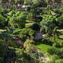 Горящие туры в отель Parque Vacacional Eden - 4