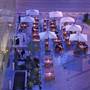 Горящие туры в отель La Cigale Hotel Doha - 5