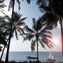 Горящие туры в отель Severin Sea Lodge - 6